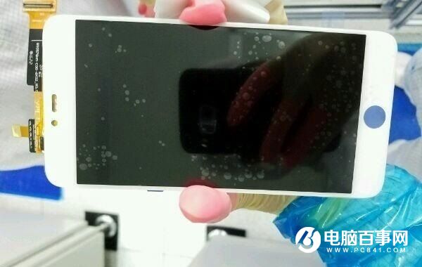 錘子T3獲3C認證 老羅這次要換玩法了