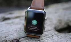 讓這些可穿戴設備   加點觸感或許變得更有用