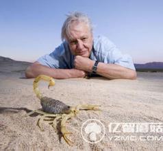 大衛愛登堡 自然紀錄片之父作品集