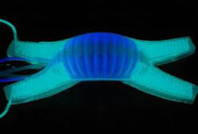 哈佛大學(xué)研制出軟體機(jī)器人 形似章魚(yú)成本極低