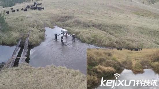 牧羊機器人牛仔 電池動力時速20公里