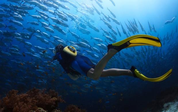 變身潛水俠 這個水下呼吸系統輕便又智能