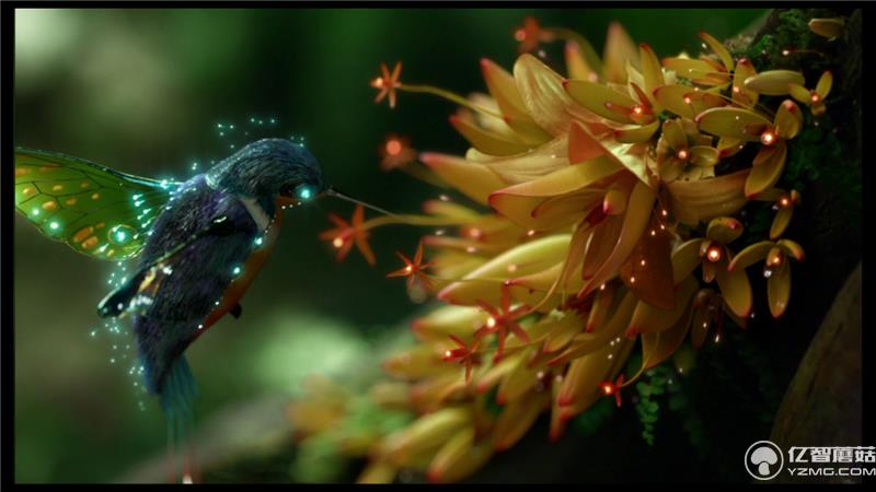 小米盒子3增強版本地視頻播放