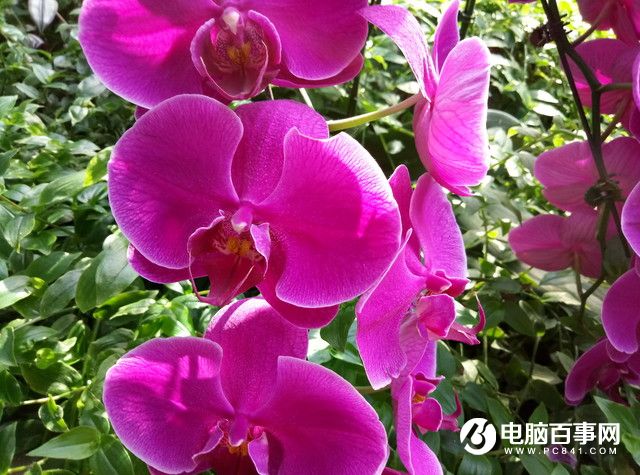 魅藍(lán)E半月使用體驗(yàn)評測：品質(zhì)實(shí)力不輸顏值