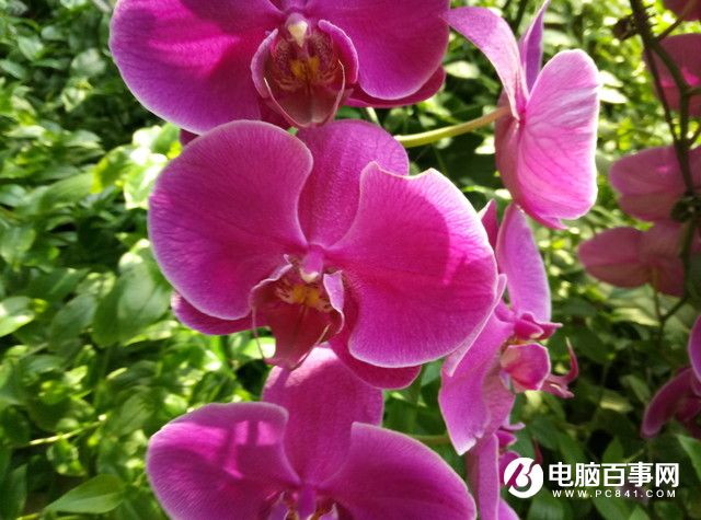 魅藍(lán)E半月使用體驗(yàn)評測：品質(zhì)實(shí)力不輸顏值