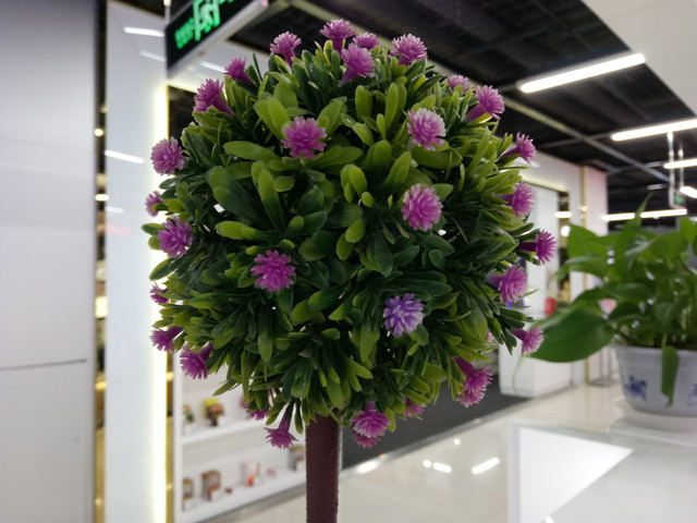 魅藍U20相機怎么樣 魅藍U20拍照樣張圖賞