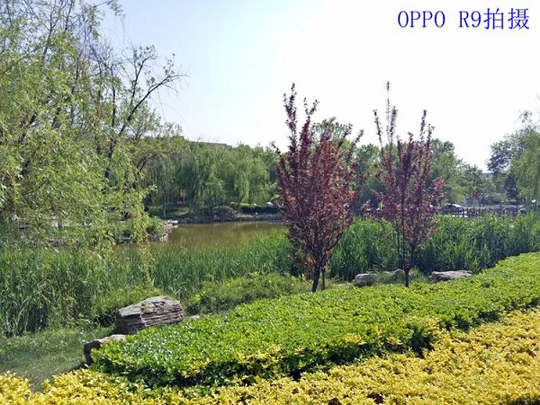 OPPO R9和360 N4S拍照哪個(gè)好？樣張對(duì)比