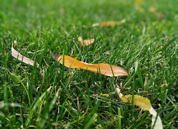 后置雙攝像頭 360手機Q5拍照評測