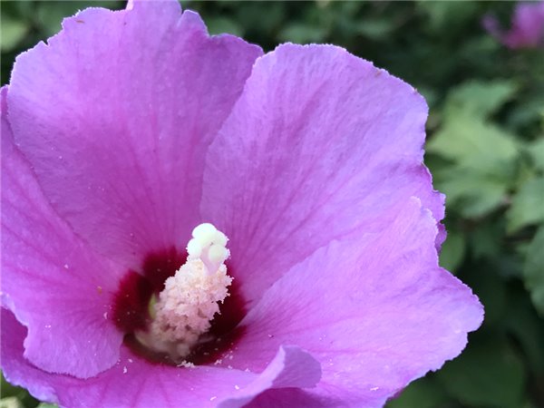 iPhone7/7 Plus評測:依然是目前體驗(yàn)最好的手機(jī)