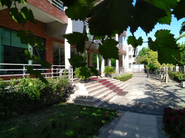 ZUK Z2和紅米Pro拍照哪個(gè)好？樣張區(qū)別對(duì)比