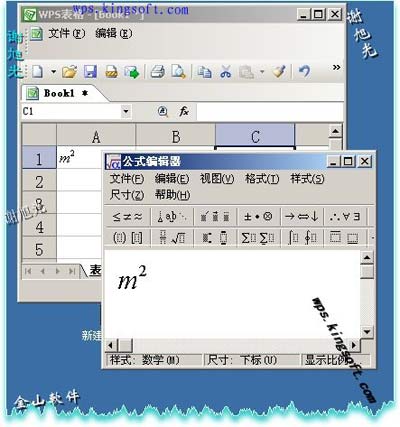 如何在WPS表格中輸入平方和立方符號(hào)