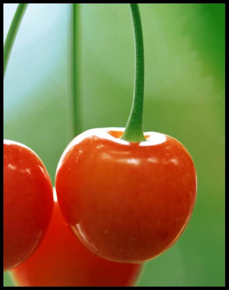 WPS文字技巧:和我一起畫櫻桃