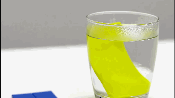 DIY超萌手機支架?只需要一分鐘和一杯熱水