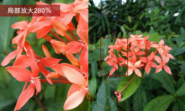 努比亞Z11 miniS值得買嗎?努比亞Z11 miniS評測