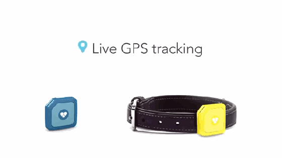 快給你的狗狗配個GPS吧 高科技防丟就靠它了