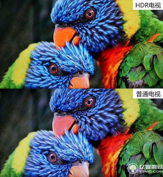 小米電視3s評測