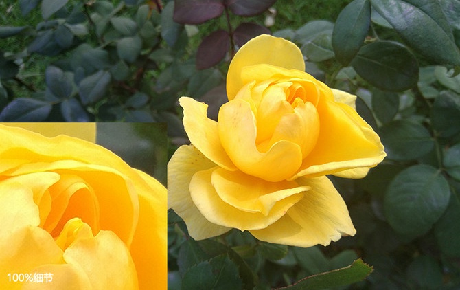 小米MIX值得買嗎 小米MIX概念機評測