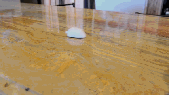 大膽鏟屎官 還不快給喵大人奉上這個智能逗貓器