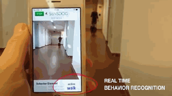 養狗的沒買這個項圈 別說你會和狗狗溝通