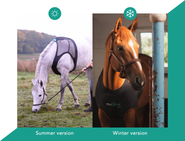 養馬的壕在哪呢?這是專為馬設計的可穿戴設備