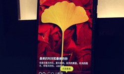 2016年四款熱門指紋識別手機推薦