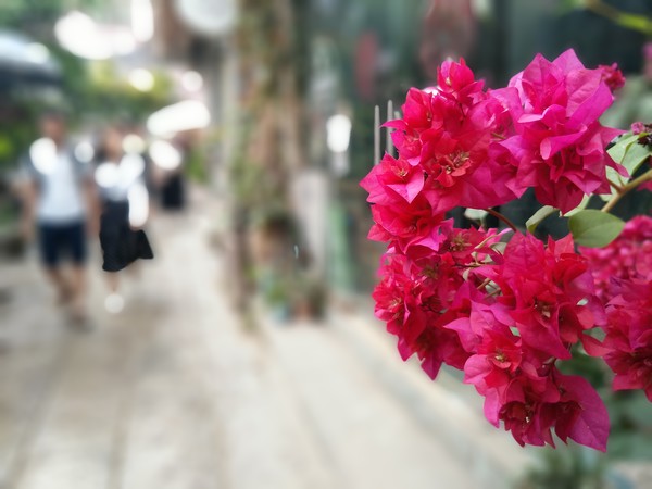 vivo Xplay6拍照怎么樣？