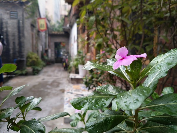 vivo Xplay6拍攝樣張