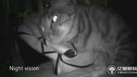 硬幣大小的防水相機(jī) 讓你從不同視角看世界