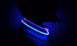 戴上這款心率監(jiān)測LED項圈 喜怒哀樂都在脖子上