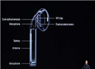 蘋果AirPods還在研發(fā)中 無法預(yù)料何時能發(fā)售