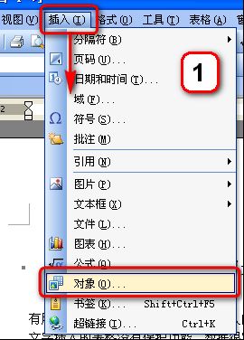 WPS文字中的表格也保護(hù)密碼功能