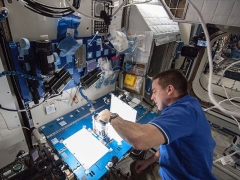 中國學(xué)生期望進(jìn)入科學(xué)行業(yè)的比例僅16.8%