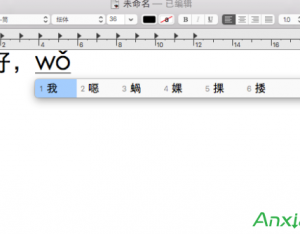 Mac音調(diào)輸入法使用小技巧