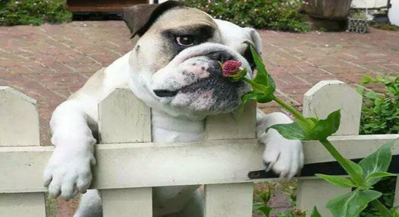 情人節(jié)送什么?這些科技產(chǎn)品值得一看!