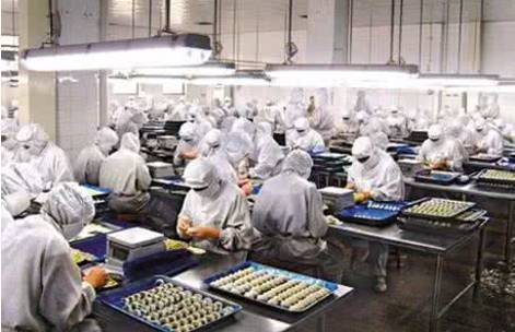 加碼發展智能制造“無人水餃工廠”曝光,再不努力真該失業了