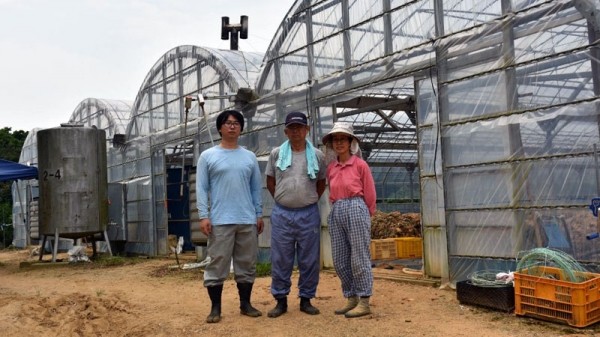 機器或能替代人類分揀黃瓜 人工智能真的無所不能么?