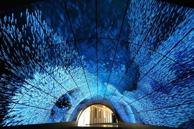 OLED和LED區別對比 OLED和LED哪個好?