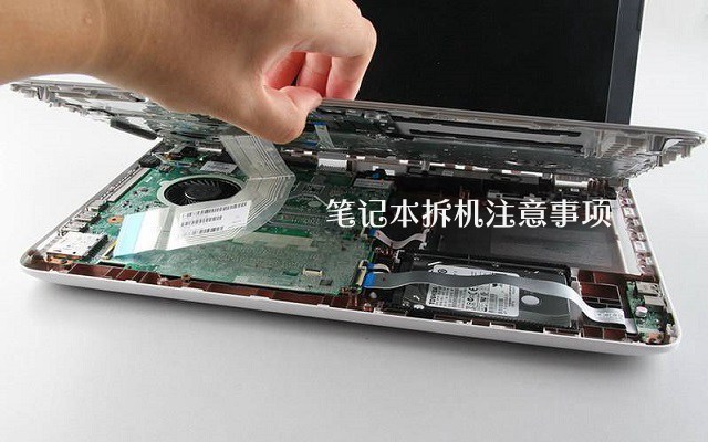 筆記本電腦拆機注意事項 新手怎么拆解筆記本電腦?