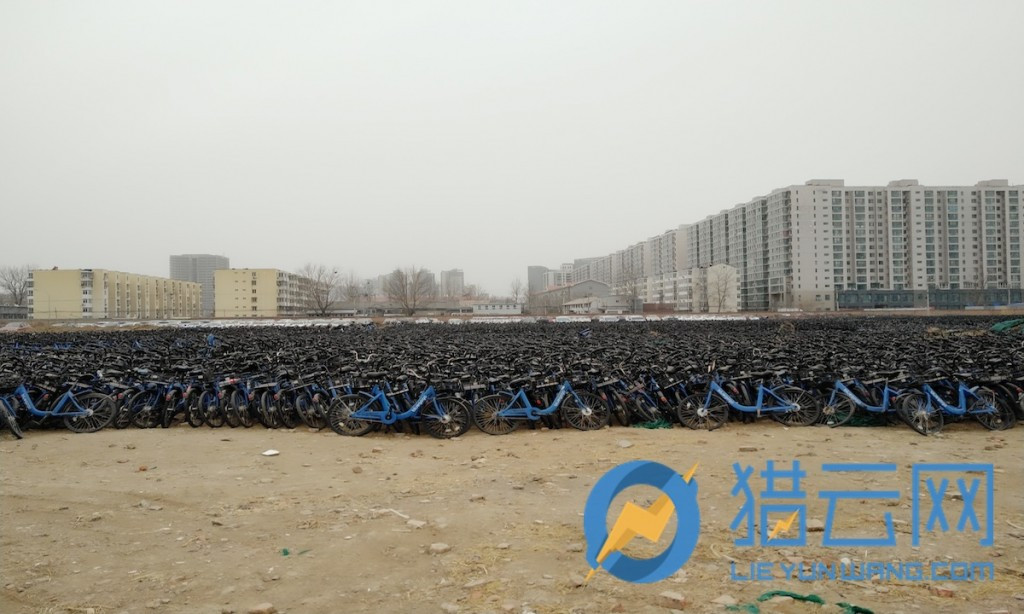 街頭消失的小藍單車去了哪?北五環附近停車場近6萬輛等待著重回市場