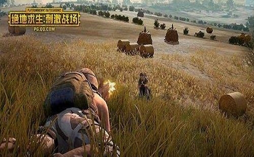 《絕地求生:刺激戰(zhàn)場(chǎng)》嚴(yán)厲打擊“惡意傷害隊(duì)友”的行為