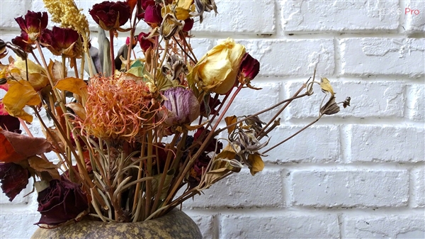 999元起!紅米6 Pro正式發布:小劉海+4000mAh