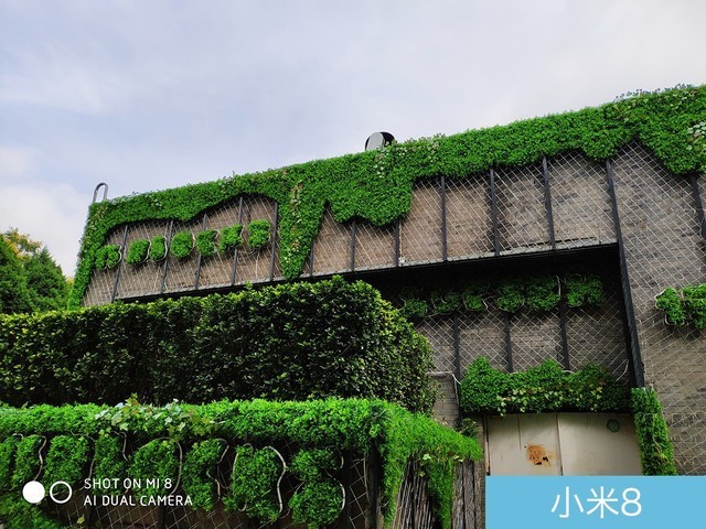 魅族16、小米8、榮耀Note10拍照對比評測 國產(chǎn)旗艦相機(jī)對決