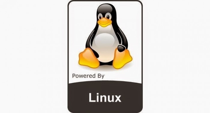 Linux Kernel 4.19首個候選版發布:又是一個重大版本更新