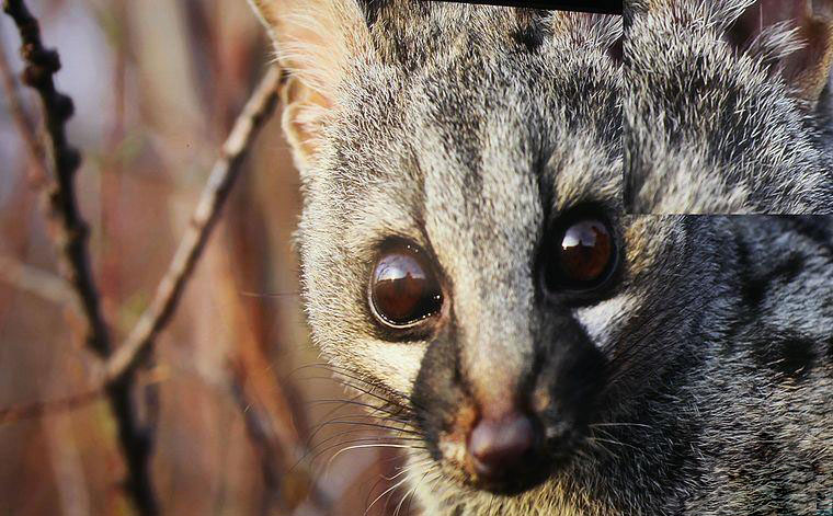 號(hào)稱百米無(wú)衰減究竟怎么樣?開博爾光纖HDMI線剖析評(píng)測(cè)