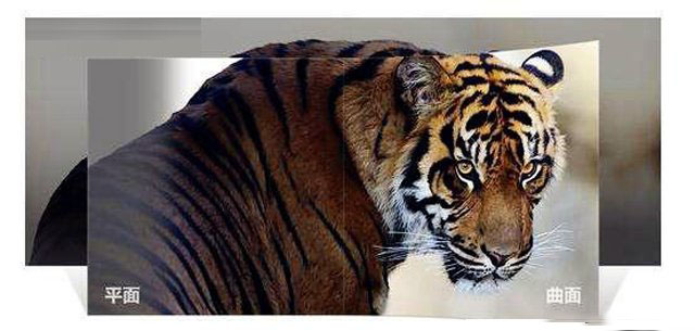 曲面和平面顯示器哪個(gè)好?曲面顯示器和平面顯示器的區(qū)別及優(yōu)缺點(diǎn)