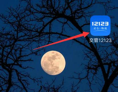 交管12123檢驗合格標志電子版在哪里查看?