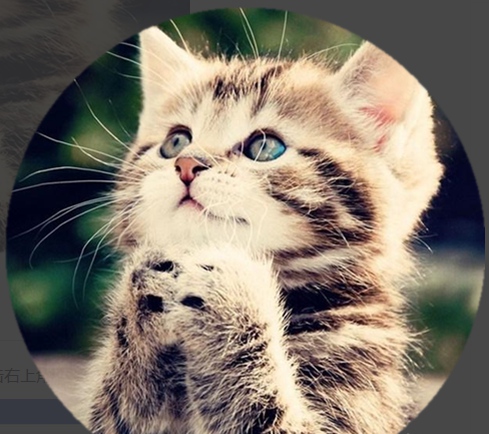 美圖秀秀怎么摳圖?美圖秀秀對圖片進行圓形摳圖的教程